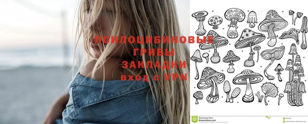 Альфа ПВП Алексеевка